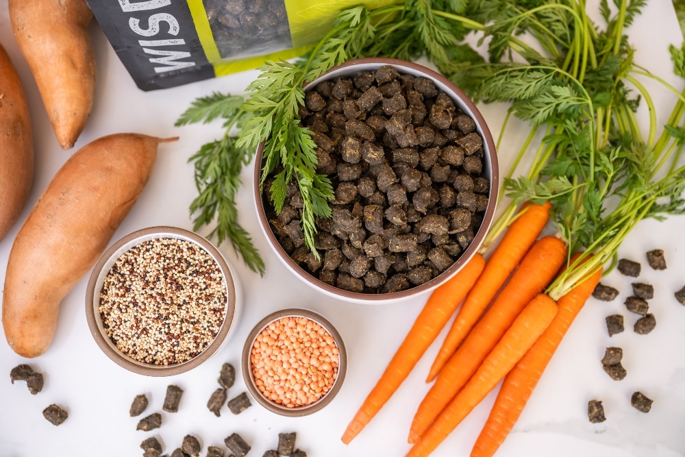 MeatBased Kibble Diets for Dogs Is Less Meat Healthier? VegNews